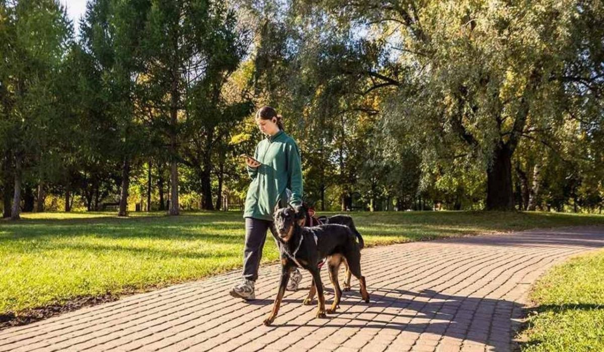 Ленобласть опровергла слухи о планируемых ограничениях на мобильный интернет