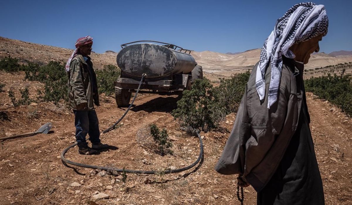 Засуха в Сирии: ООН прогнозирует угрозу голода для 16 миллионов человек