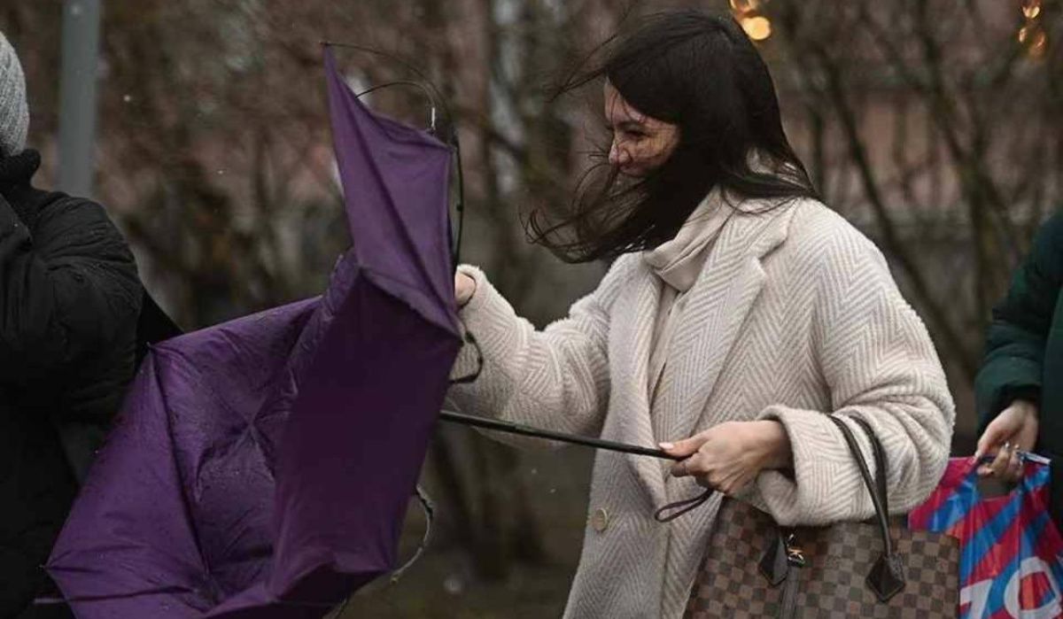 Петербуржцам прогнозируют штормовой ветер и сильные дожди