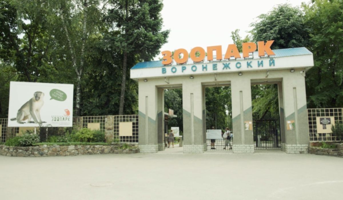Воронежский зоопарк будет открыт ежедневно в ноябрьские праздники
