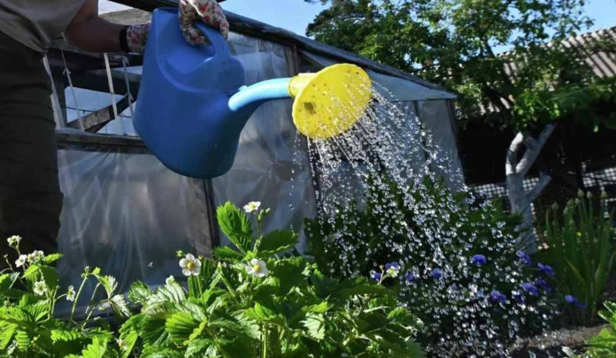 В России с сентября изменятся правила изъятия земель