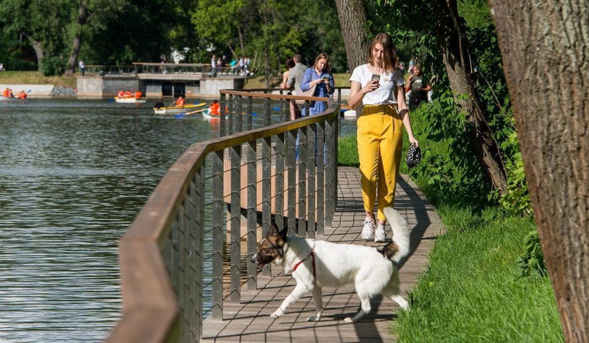 Тепло и кратковременные дожди: прогноз погоды в Москве с 22 по 26 июля