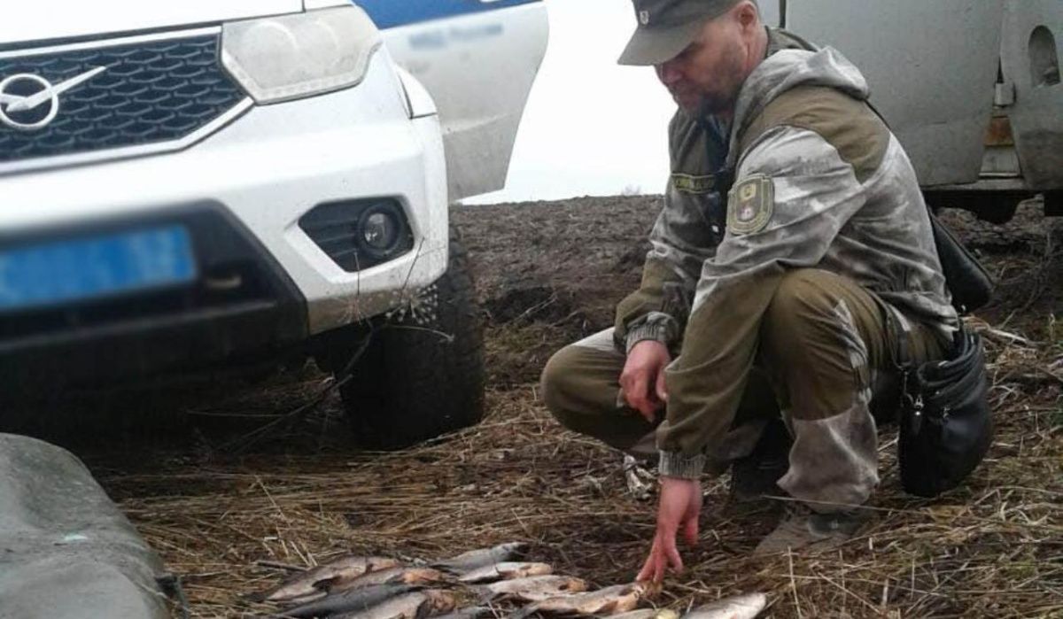 В Нижнем Новгороде квадрокоптер помогает ловить нарушителей закона 