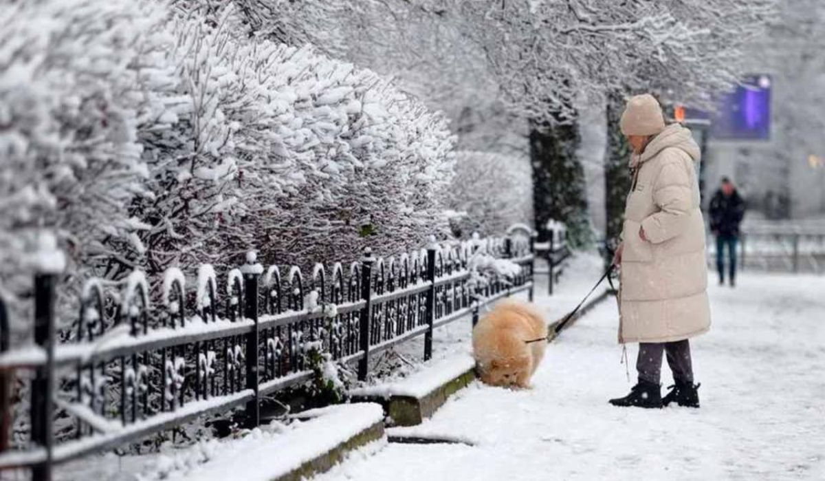 Леус сообщил о прогнозе погоды в Петербурге на 25 ноября