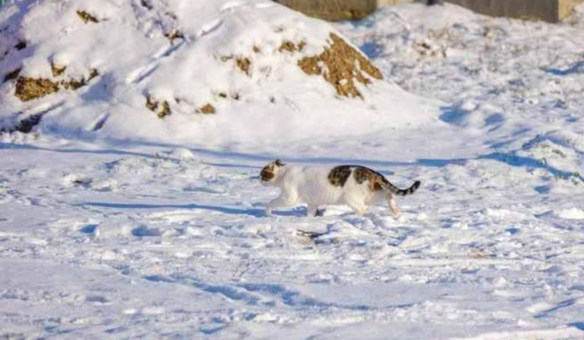 Синоптики Башкирии представили прогноз погоды на предстоящие выходные