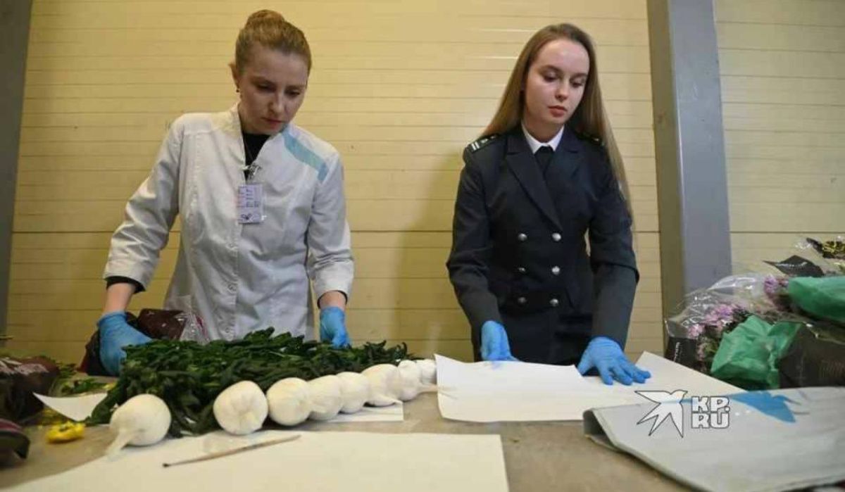 В Екатеринбург к 8 марта доставили 8 миллионов цветов