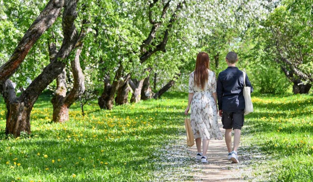 В Самарской области побит температурный рекорд 