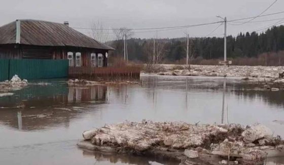 Особый режим введен мэром Нижнего Тагила в одной из деревень