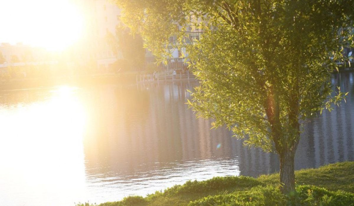 Прогноз погоды в Татарстане: дождь с грозой ожидается этой ночью