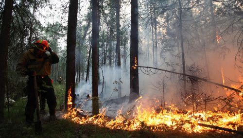 Ущерб от лесных пожаров в Свердловской области превысил 100 млн рублей