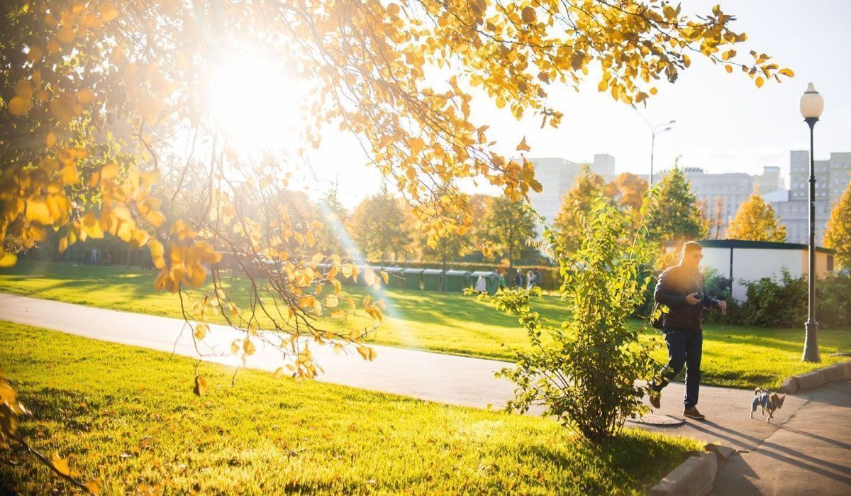Астрономическая осень в Москве начнётся с рекордно теплой погоды