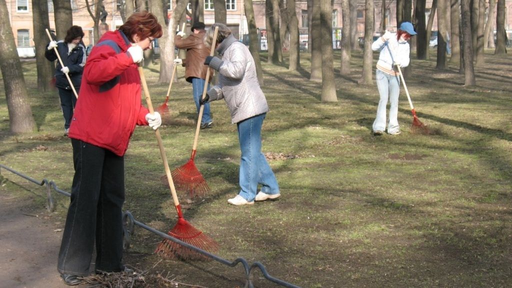 Петербуржцев попросили выйти на общегородской субботник