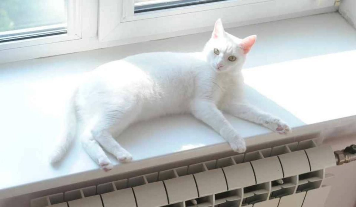 В Петербурге и Ленобласти проведут финальные гидравлические испытания