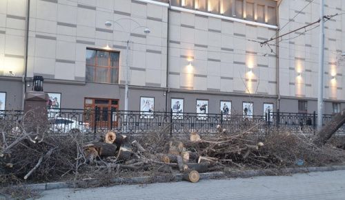 В Екатеринбурге возле театра музыкальной комедии срубили деревья 