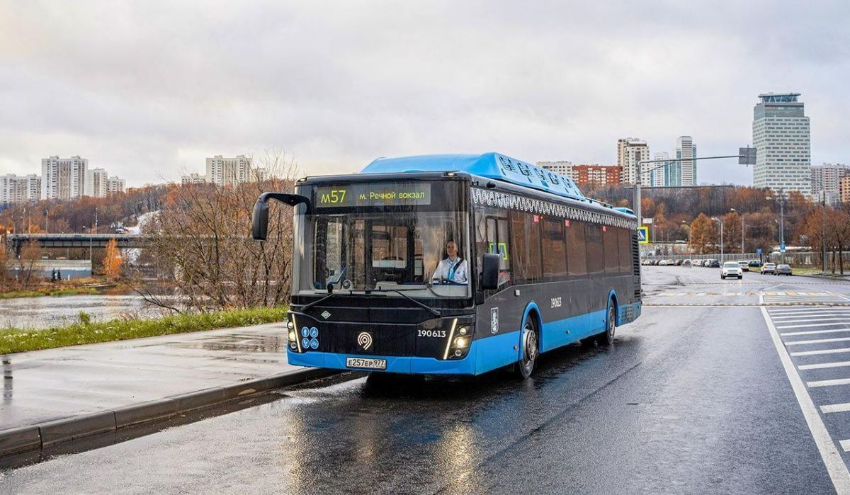 В Подмосковье женщина в автобусе избила школьницу из-за нецензурной брани