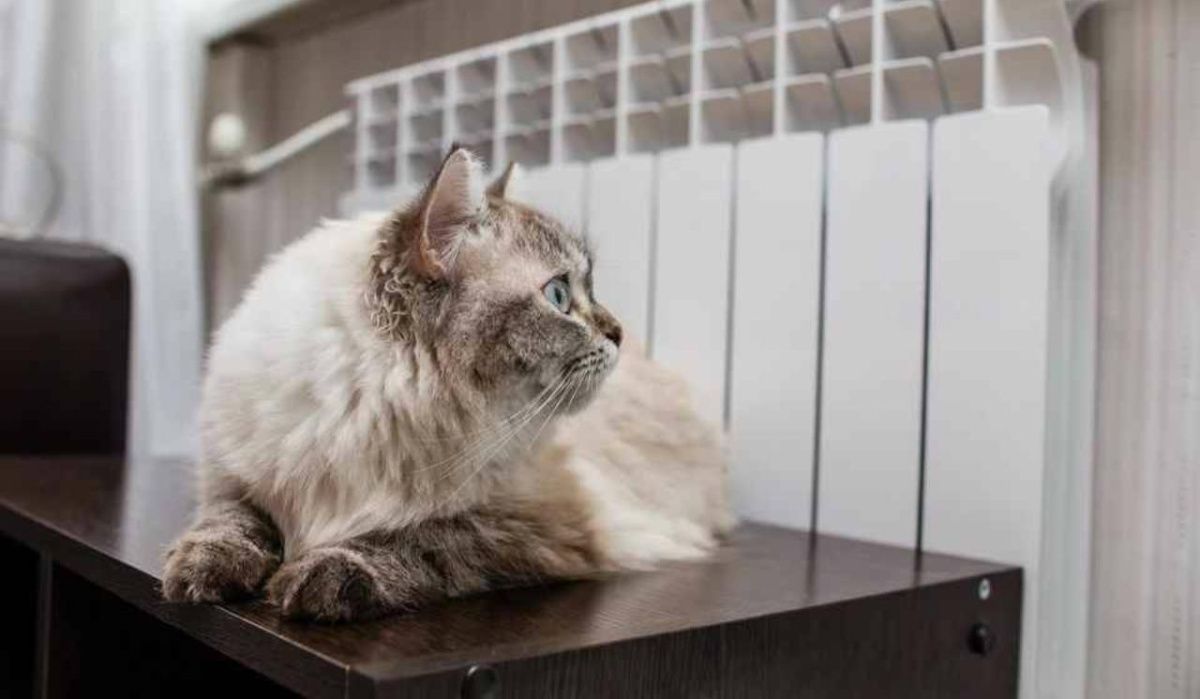 В Миассе объявили дату начала отопительного сезона в жилых домах