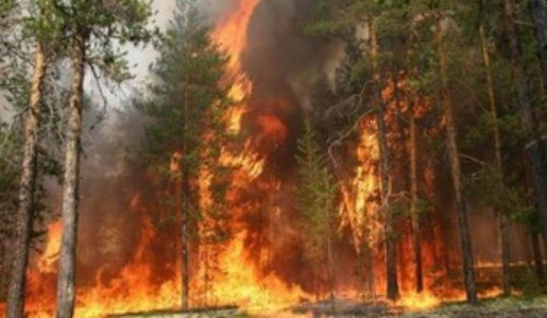 В Свердловской области увеличат зарплату пожарным 