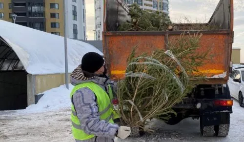 В администрации Екатеринбурга рассказали, куда можно принести новогоднюю ель 
