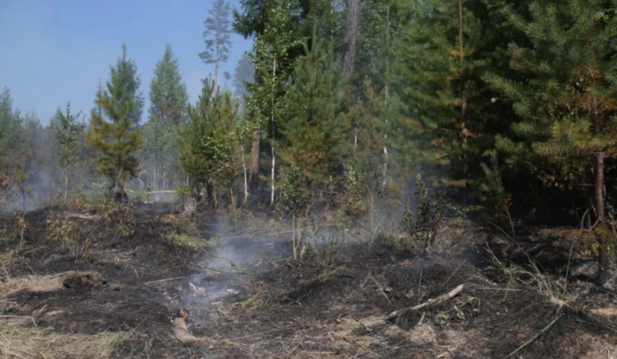 В Свердловской области локализованы все природные пожары 