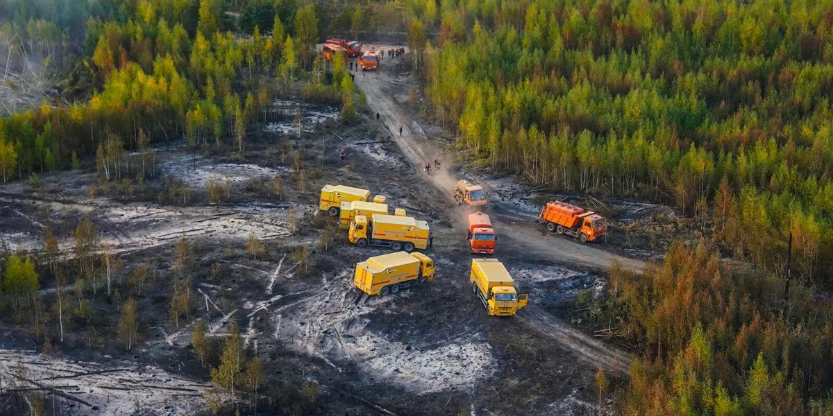 В Свердловской области выяснили, кто поджигает леса 