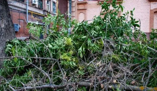 В Свердловской области МЧС объявили о штормовом предупреждении