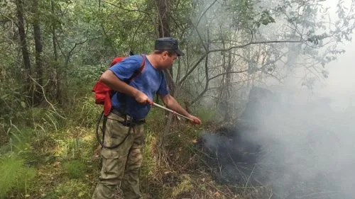 В Свердловской области лесные пожары нанесли ущерб более чем на 52 млн рублей