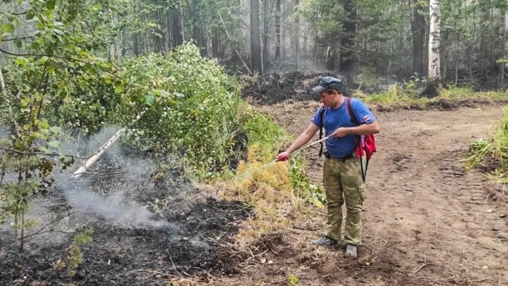 В Свердловской области локализовали самый крупный лесной пожар